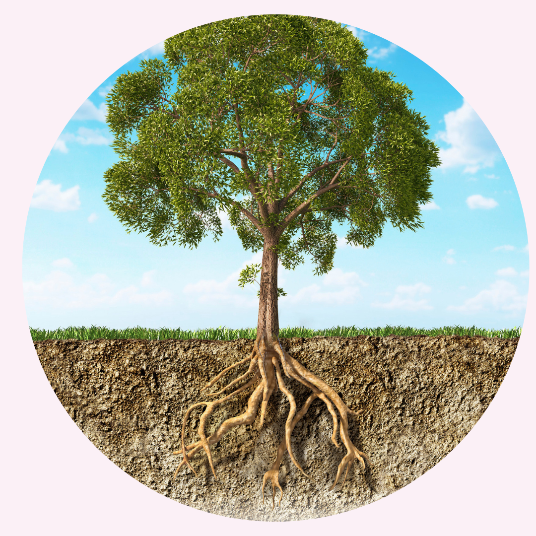 Belief Code tree structure